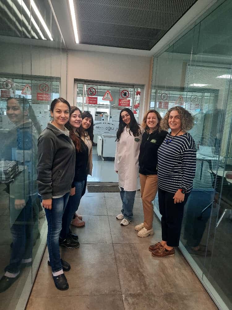 ALTLİPİT Süreç Fotoğrafı 4