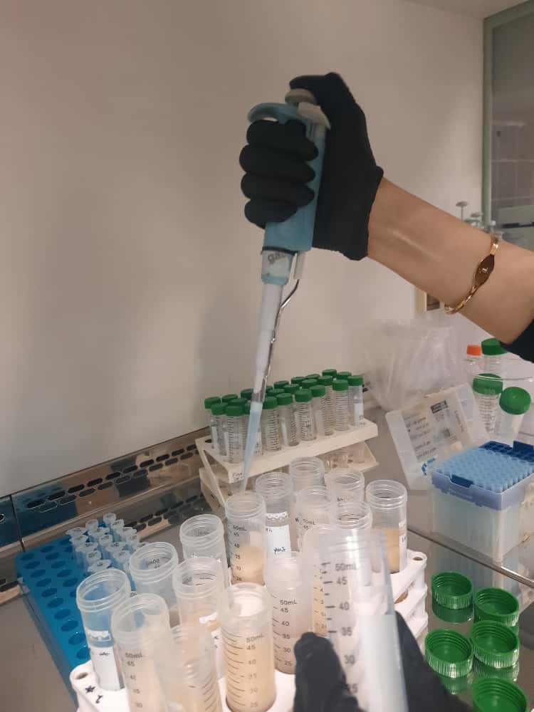 ALTLİPİT Süreç Fotoğrafı 5