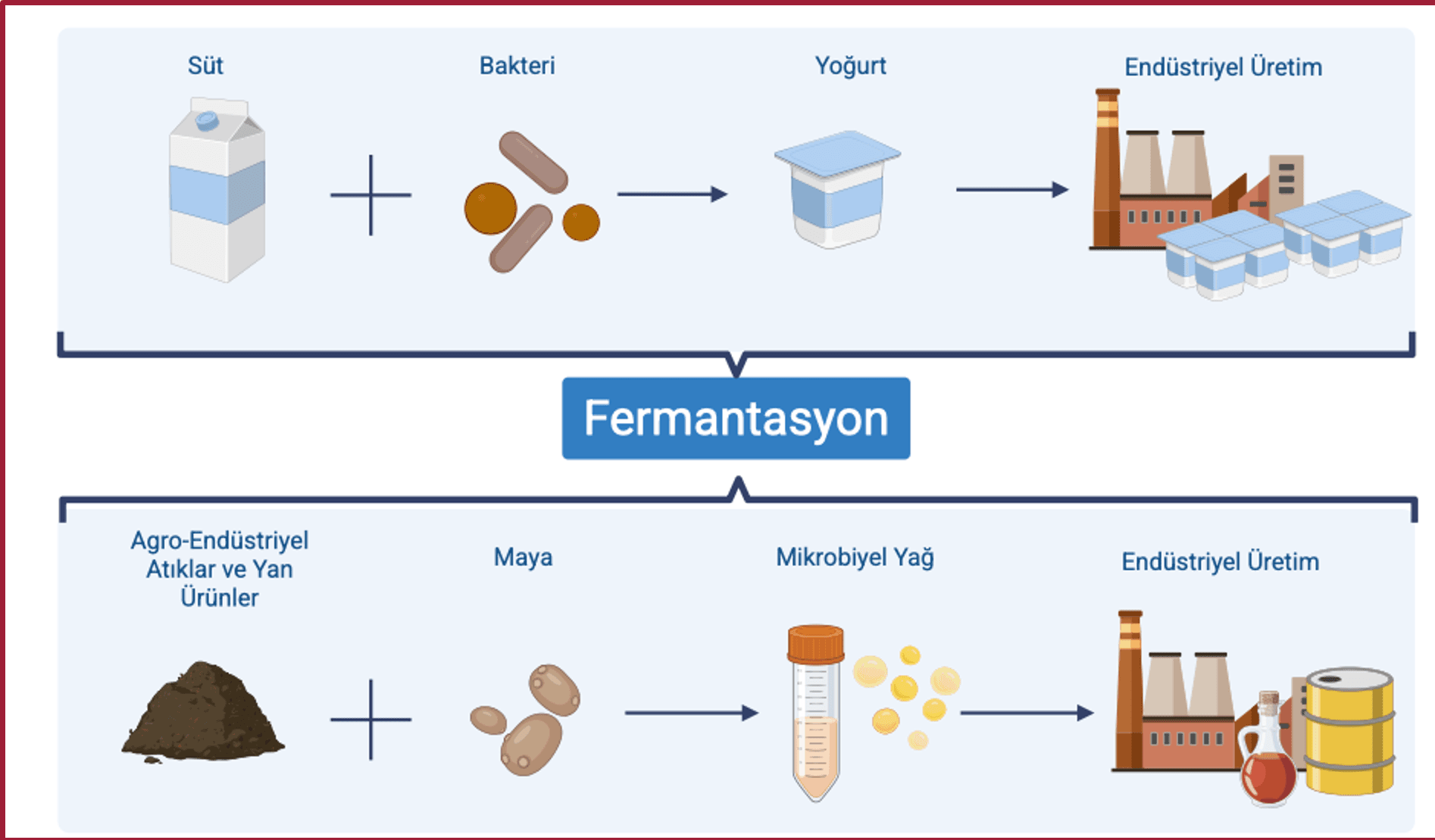 ALTLİPİT Proje Fotoğrafı 2