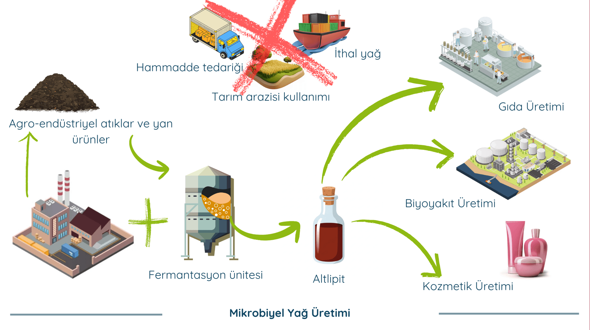 ALTLİPİT Proje Fotoğrafı 5