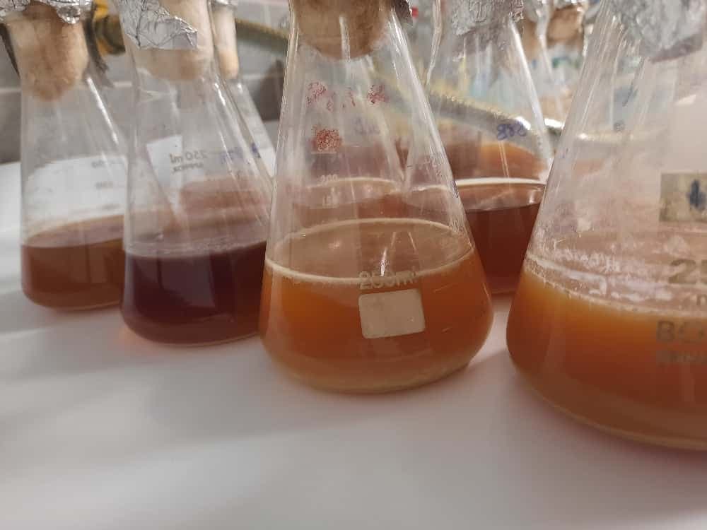 ALTLİPİT Proje Fotoğrafı 7